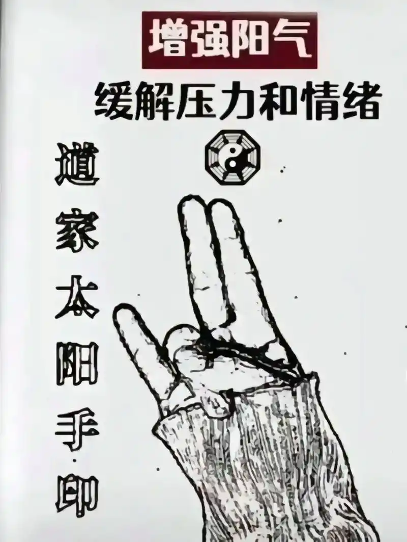 结印手势 #道家文化 #养生 #道家手印 - 抖音