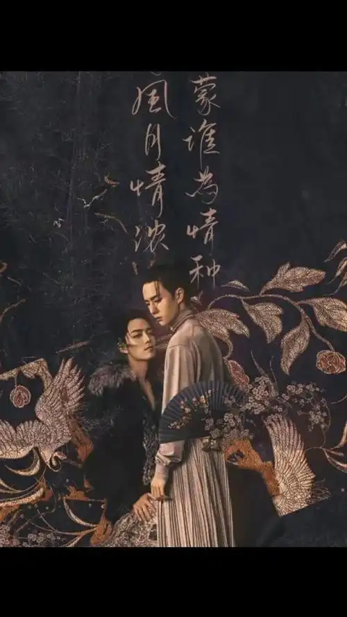 古风肖战王一博