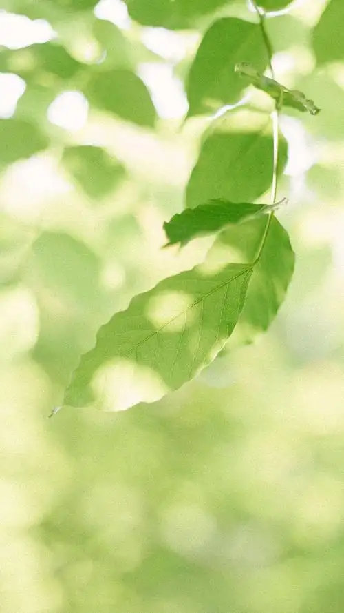 1080_1920竖版 竖屏