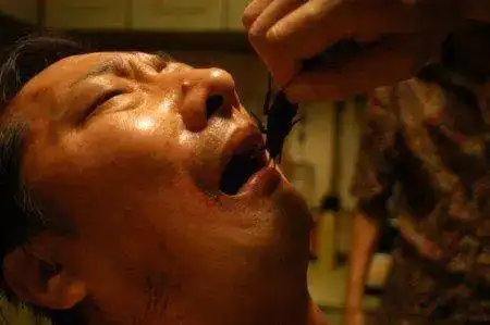 九孔在疯狂的赛车里饰演李法拉九孔说那蟑螂是真的味道恶心