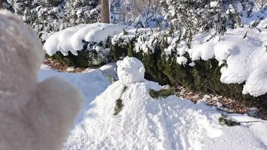 有什么烦恼是跳进雪坑解决不了的呢?