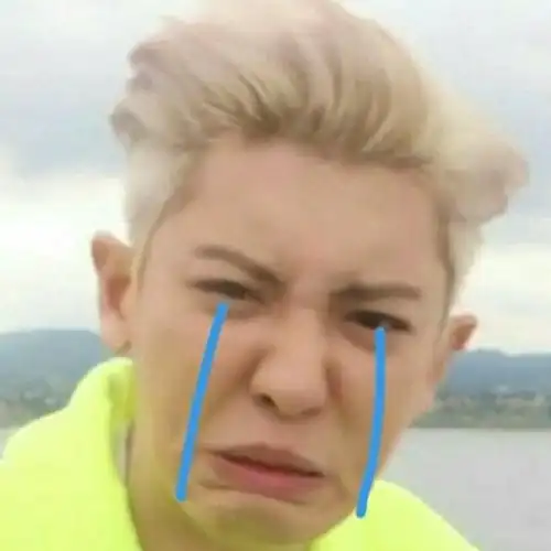 exo 朴灿烈 表情包