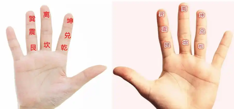 除掉正中间指节(中宫),其他八个指节相匹配后天八卦(先天八卦也可)