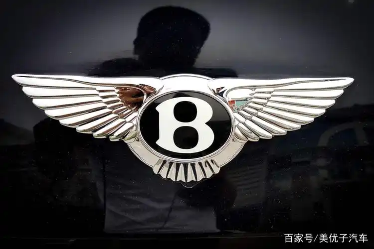 所以像有汽车的一些车友,他们几乎对于很多的豪车车标认识的也都是不