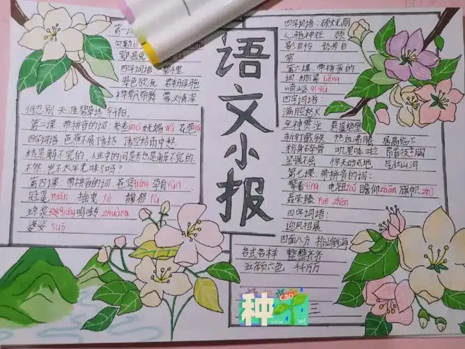 语文小报六年级