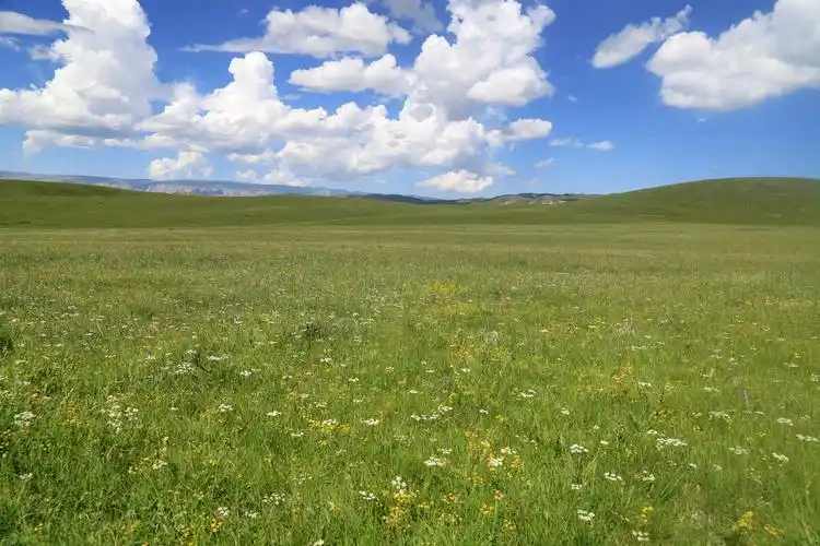 这里地处青藏高原东北部边缘,东南与黄土高原相接,总面积4.