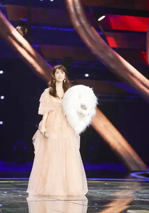 孟庭苇:柳暗花明,如梦一场-西瓜影视