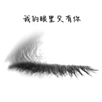 我的眼里只有你(猪)