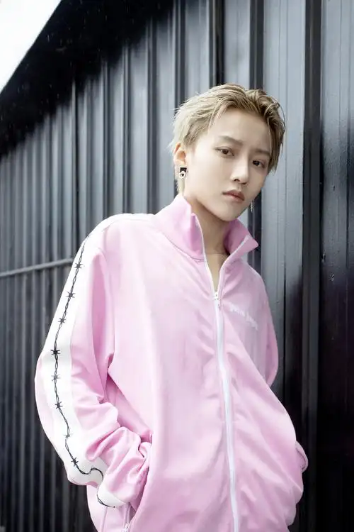 刘雨昕金发运动装写真图片33