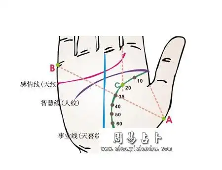 生命线上20岁点:食指和中指谷间往下作垂线与生命线相交的点(c).