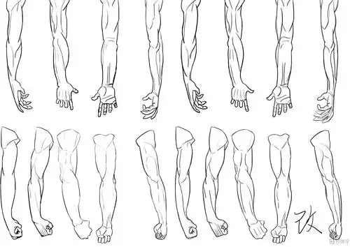 写生手臂—人体体块手臂肌肉的练习