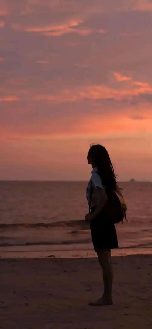 「背影壁纸」认真看过许多人的背影,有些走了也就没有再出现过