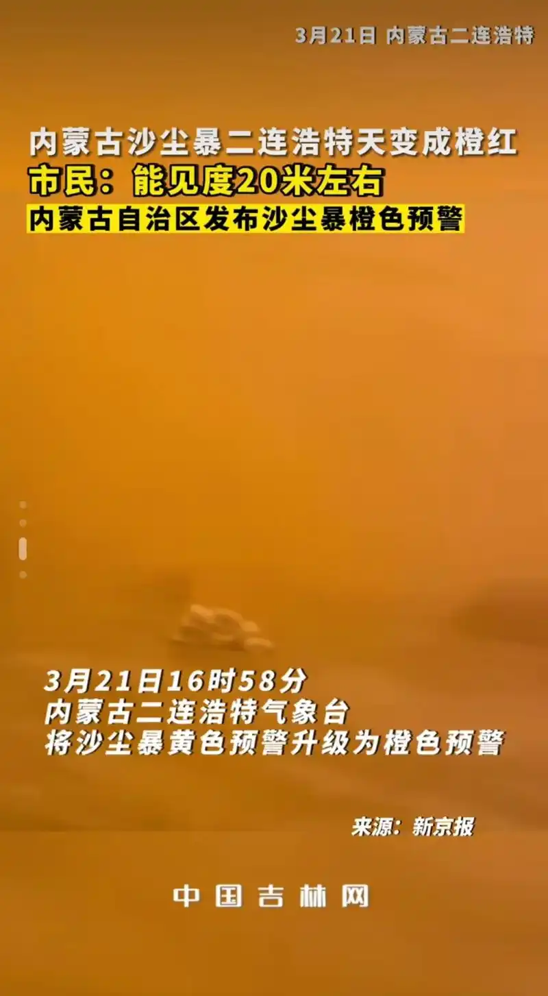 我蚂蚁森林的树是白种了吗000000#沙尘来袭 #极端天气  - 抖音