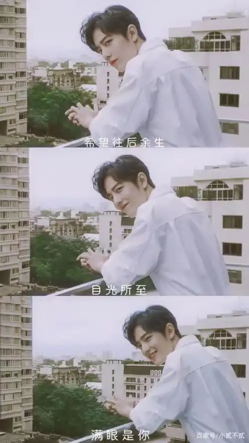 肖战拼接文字系壁纸