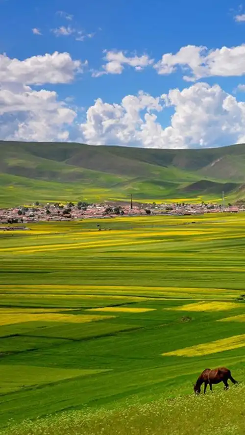 蓝天白云绿地风光手机端h5背景