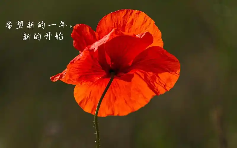 再见过去,你好未来