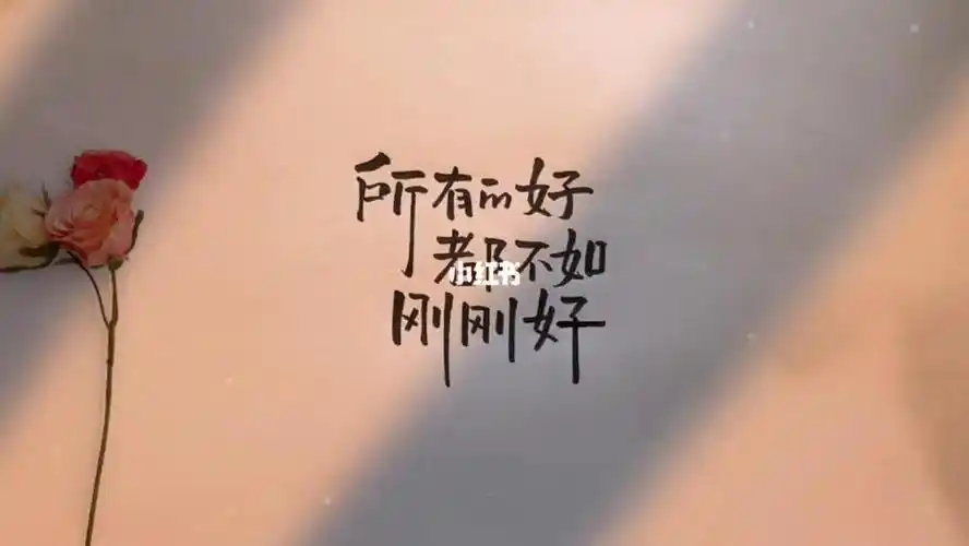 抖音热门音乐果然不一般真的好嚣张