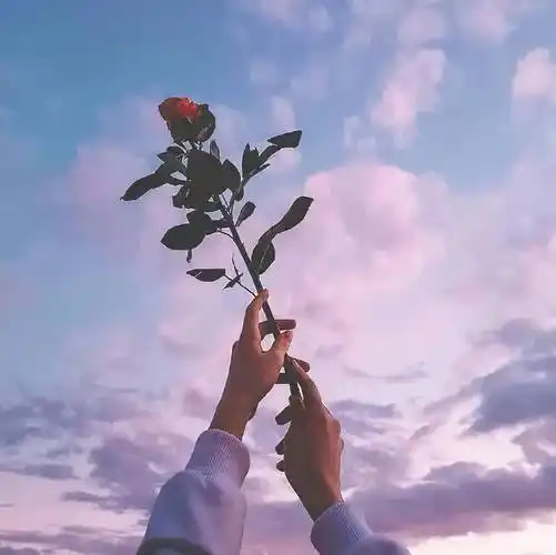 长期不换微信头像的人往往是以下几种心态