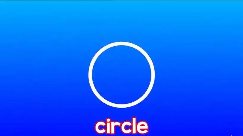 吐血整理!圆形英文怎么读circle?(精选视频11个)-三看网