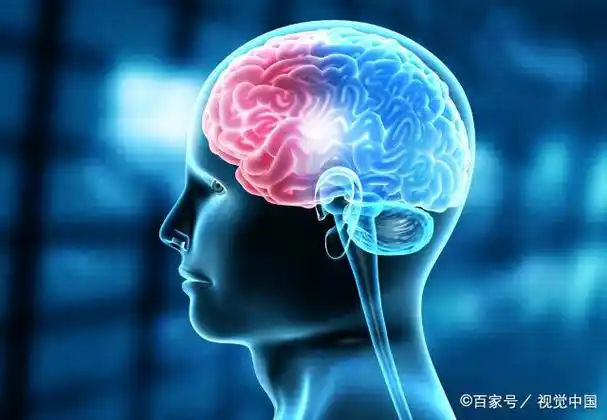 目前在这个宇宙我们发现最复杂的东西就是人类的大脑,我们的感觉,什么