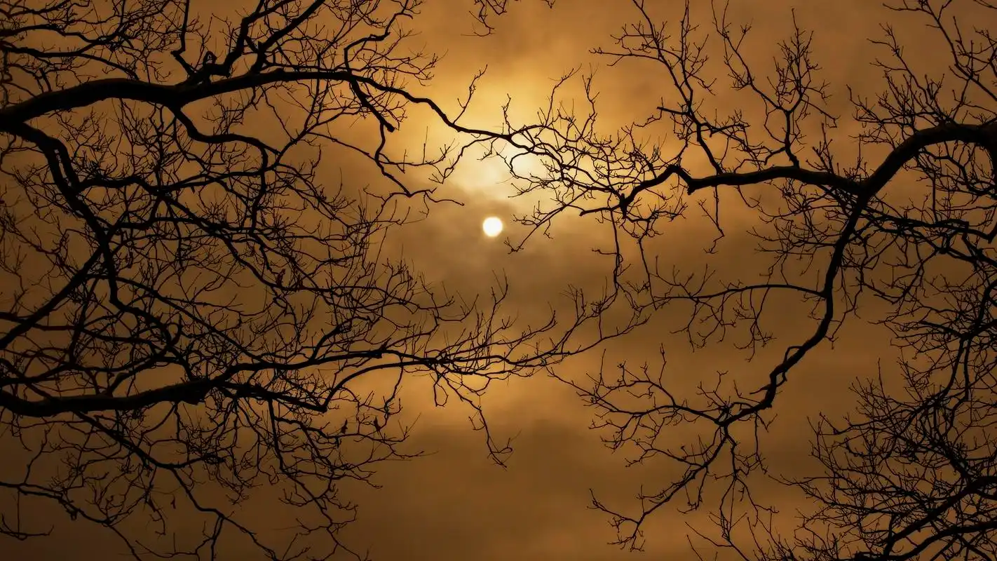 万圣节诡异恐怖图片桌面壁纸高清