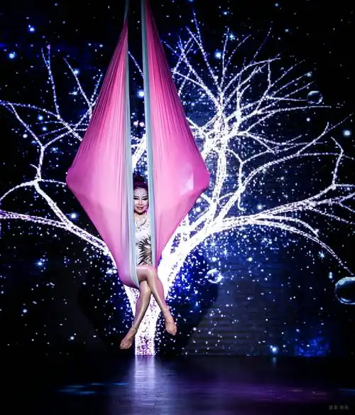 2019年第十三届全国钢管舞锦标赛(一) ( 摄影徐铁)