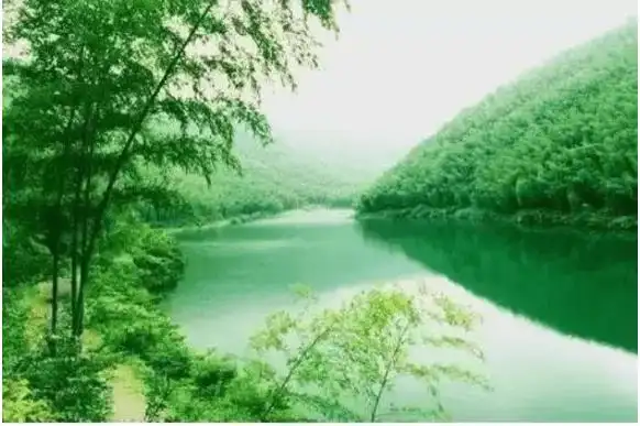 【晚安】沉默是金,吃亏是福!