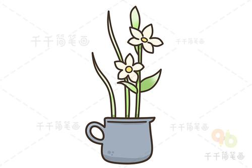 水仙花简笔画步骤