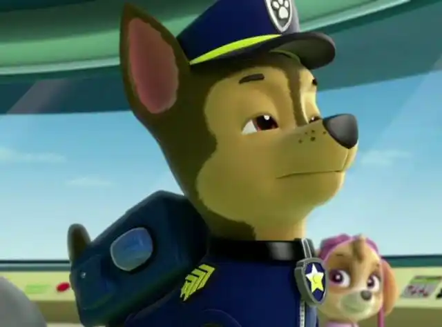 《汪汪队立大功》阿奇昂首挺胸的看远方,工作太认真了