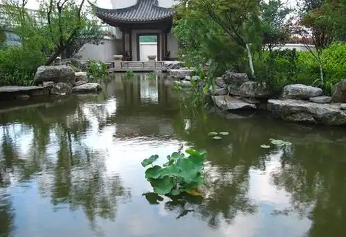 白石古莲城:下沉式水景园林,实现私家庭院与公园形成无缝对接 - 象盒