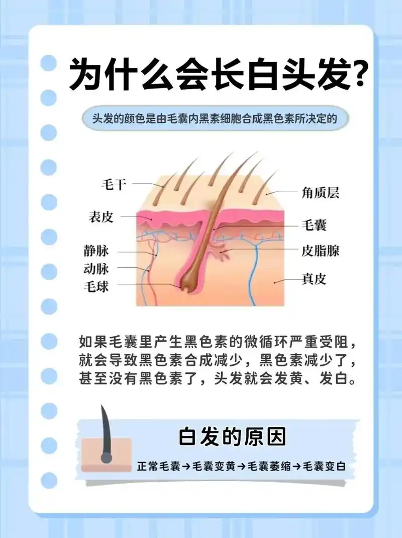 有白头发千万不要染发!