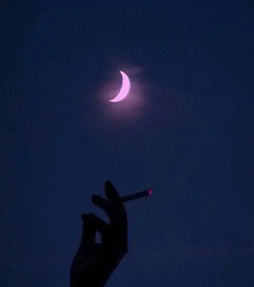 深夜丧系文案,孤独而忧伤,但能治愈很多人!