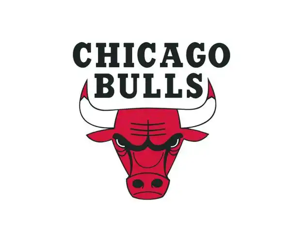 芝加哥公牛队标志logo设计含义品牌策划vi设计介绍