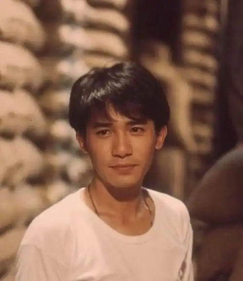 刘嘉玲晒照贺梁朝伟61岁生日两鬓斑白潇洒依然