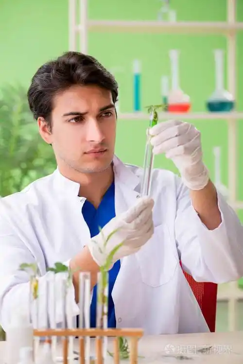 在实验室工作的年轻的生物技术科学家化学家