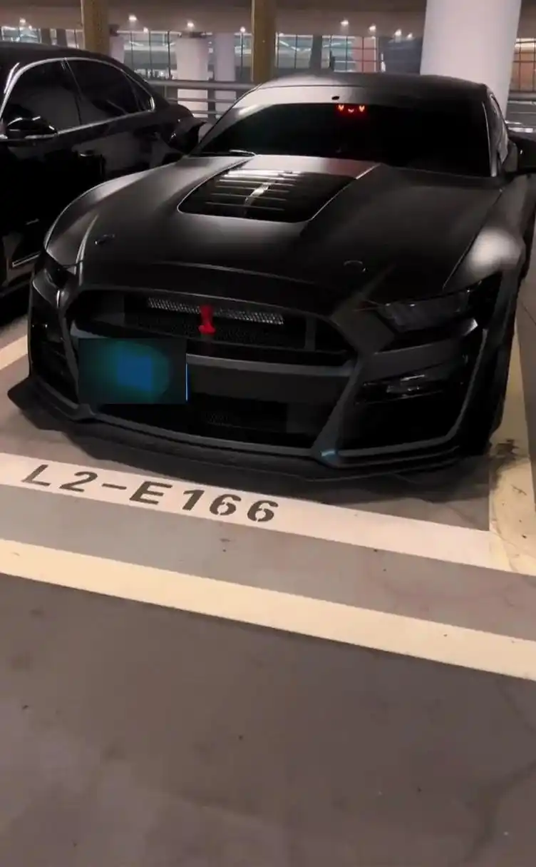 在四川资阳 再次偶偶会说话的黑帅 福特野马黑武士