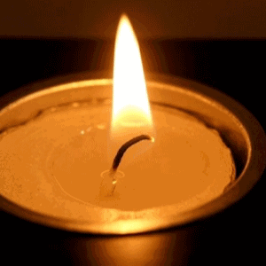 300_300gif 动态图 动图