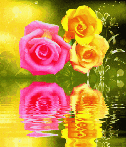 绝美动态玫瑰倒影花册太绝美了