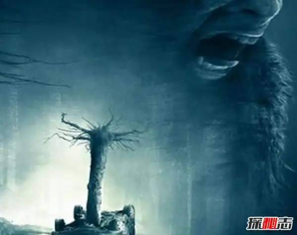 世界十大灵异图片,灵异图片看懂才恐怖(张张诡异)