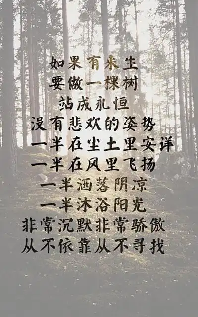 跟你身处一个班却不说话的叫同学400_639竖版 竖屏