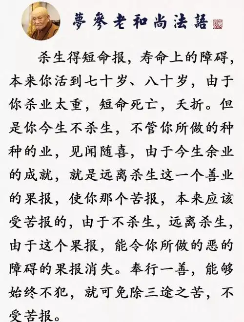 因为这一幕屠夫从此不杀生了