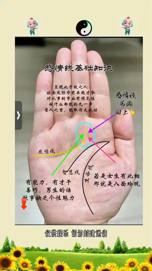 感情线的基础知识