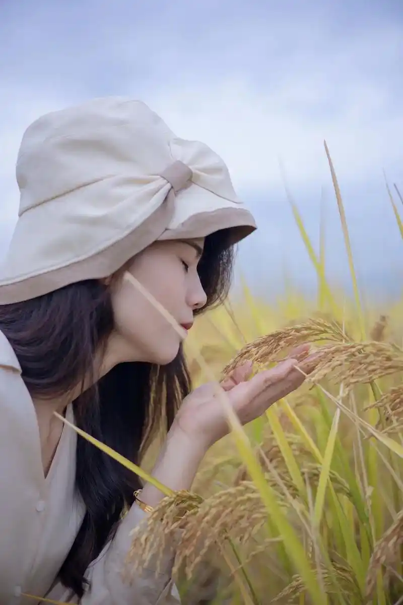 稻田风光 #我的摄影日记 #金色麦田 #人像写真 新昌高来 - 抖音