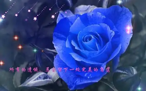 蓝色妖姬唯美图片_蓝玫瑰的意境美