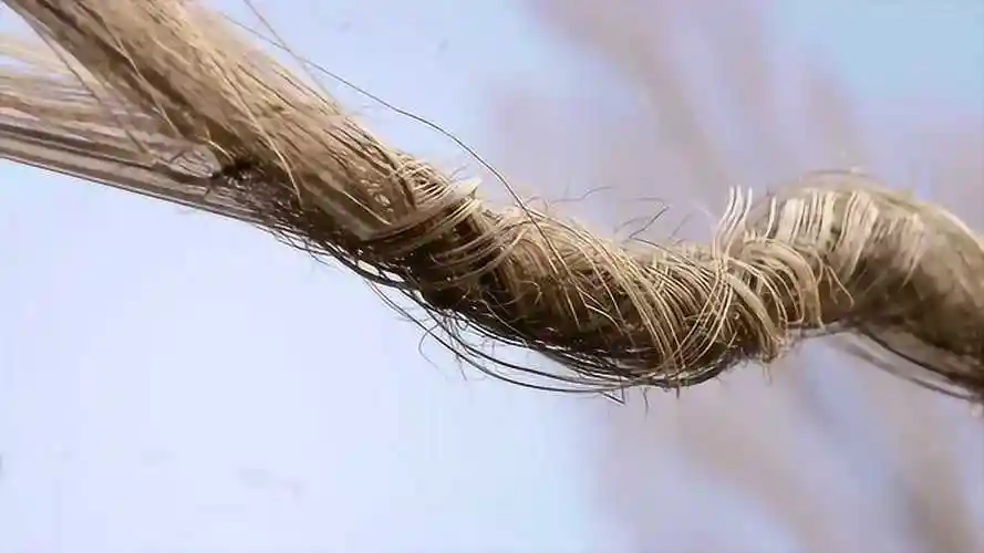 极星与bcomp合作的天然亚麻纤维复合材料