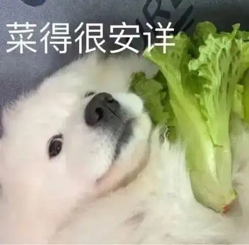 热门表情包原图精选141个表情20220513