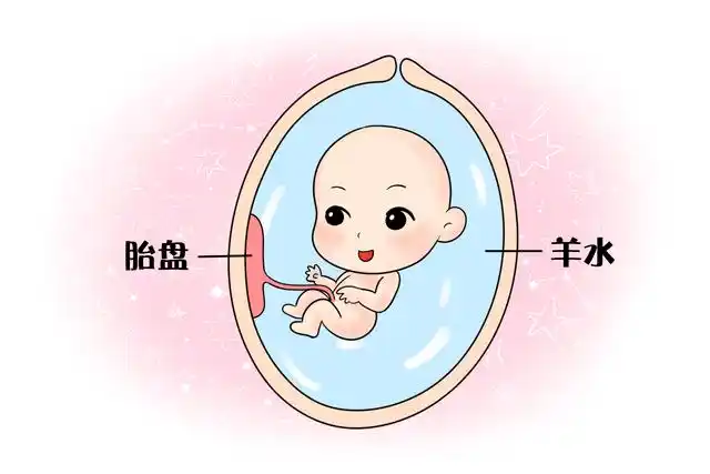 孕期羊水知多少