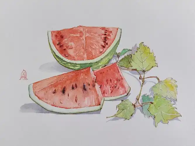 钢笔淡彩西瓜带步骤