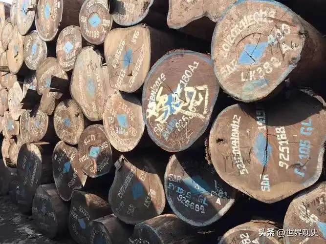 世界最贵的十种木材