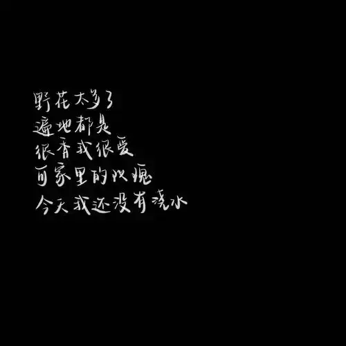 ins优质唯美黑底白字背景图_文字图片_我要个性网